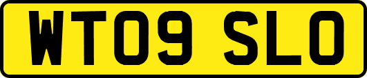 WT09SLO