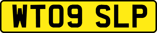 WT09SLP