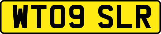 WT09SLR