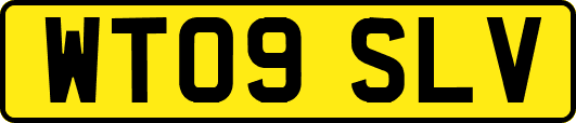 WT09SLV