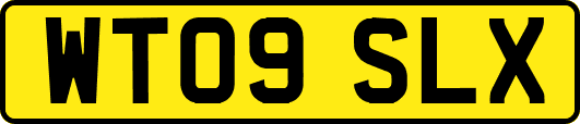 WT09SLX