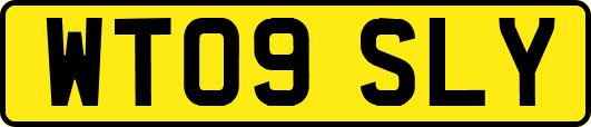WT09SLY