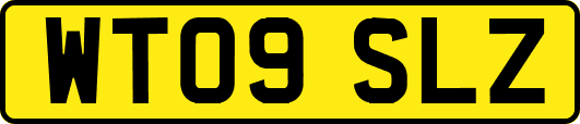 WT09SLZ
