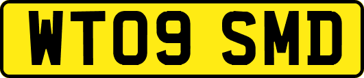 WT09SMD
