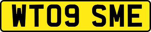 WT09SME