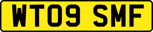 WT09SMF