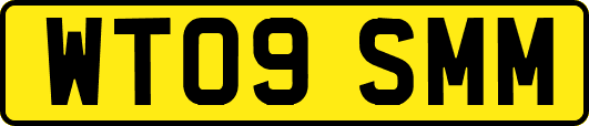 WT09SMM