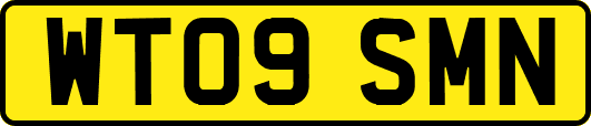 WT09SMN