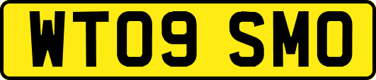 WT09SMO