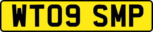 WT09SMP