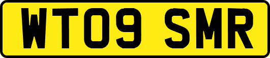 WT09SMR