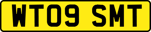 WT09SMT