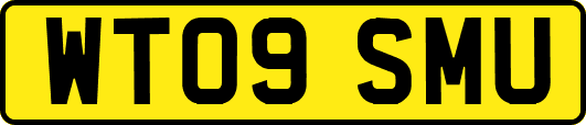 WT09SMU