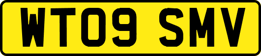 WT09SMV