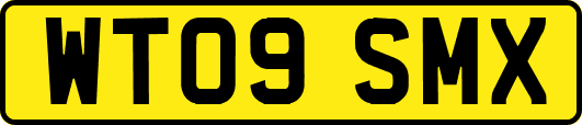 WT09SMX