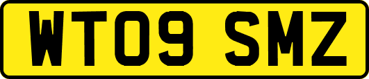 WT09SMZ