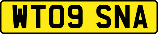 WT09SNA