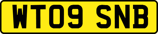 WT09SNB
