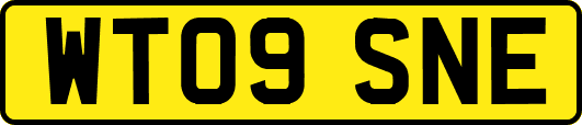 WT09SNE