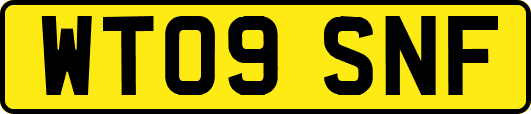 WT09SNF