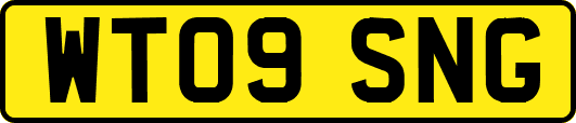 WT09SNG