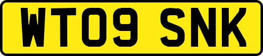 WT09SNK