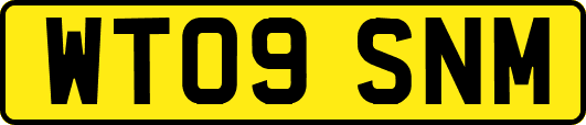 WT09SNM
