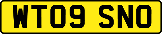 WT09SNO