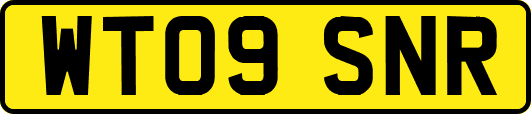 WT09SNR