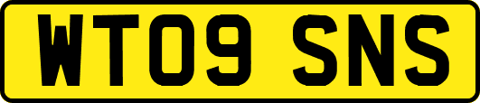 WT09SNS