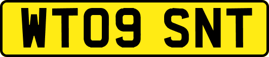 WT09SNT