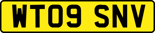 WT09SNV