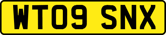WT09SNX