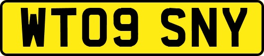 WT09SNY