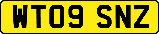 WT09SNZ