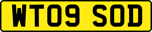 WT09SOD