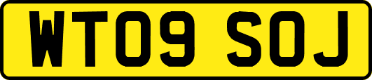 WT09SOJ