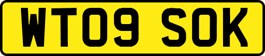 WT09SOK