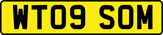WT09SOM