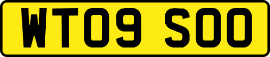 WT09SOO