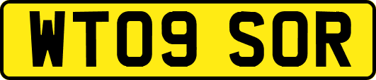 WT09SOR