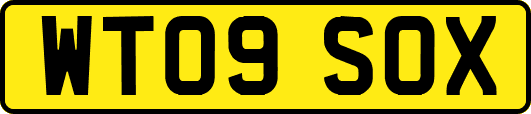 WT09SOX