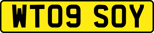 WT09SOY