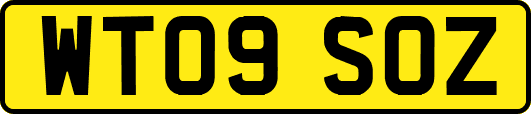 WT09SOZ