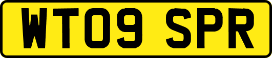 WT09SPR