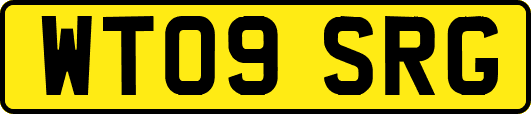 WT09SRG