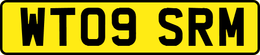 WT09SRM