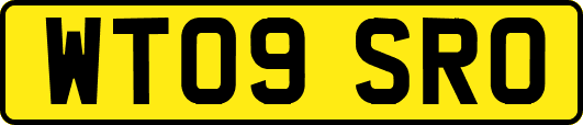WT09SRO