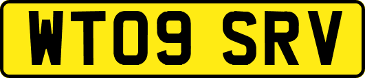 WT09SRV