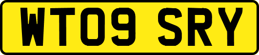 WT09SRY